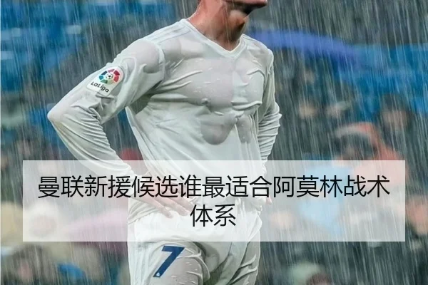 曼联新援候选谁最适合阿莫林战术体系