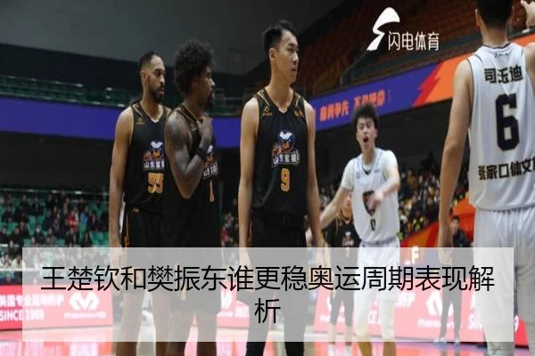 王楚钦和樊振东谁更稳奥运周期表现解析